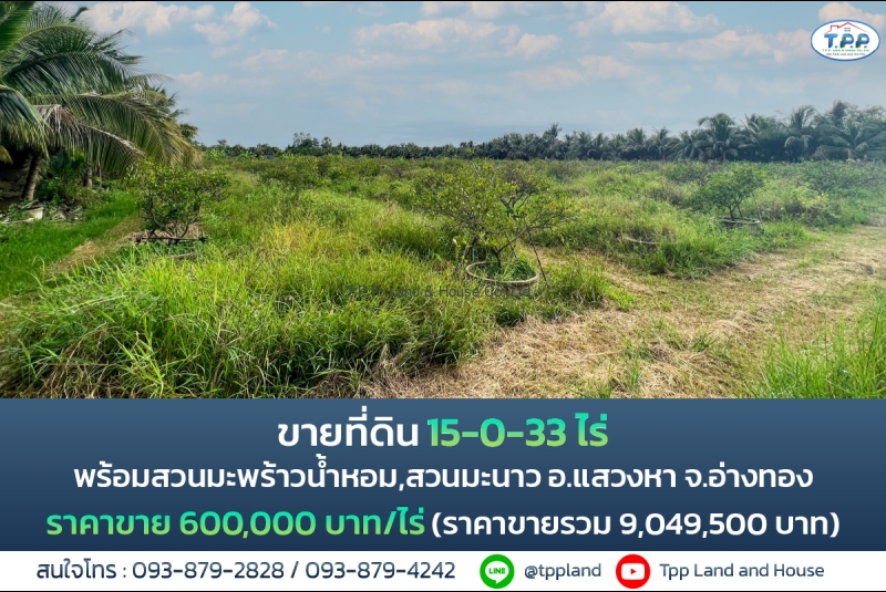 ขายที่ดิน15-0-33 ไร่ พร้อมสวนมะพร้าวน้ำหอม,สวนมะนาว ใกล้ทางหลวงชนบท (4009) บ้านดอนกร่าง ตำบลบ้านพราน อำเภอแสวงหา จังหวัดอ่างทอง